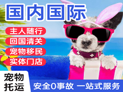 白云机场快运国际宠物托运 【国